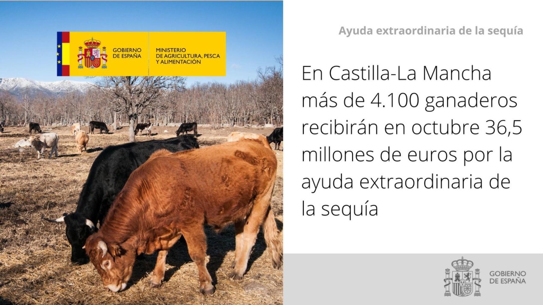 En Castilla-La Mancha más de 4.100 ganaderos recibirán en octubre 36,5 millones de euros por la ayuda extraordinaria de la sequía