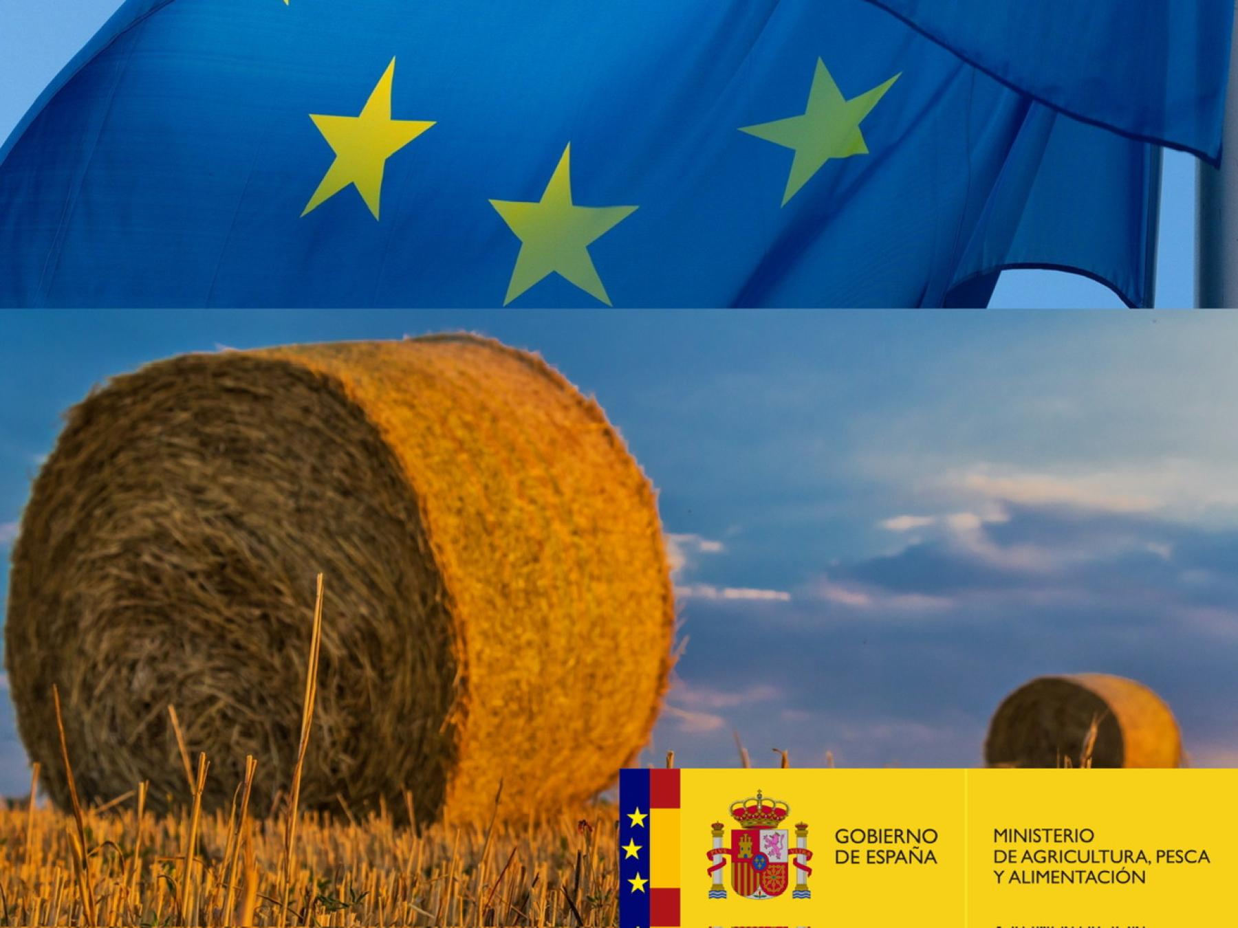 Los agricultores y ganaderos de Castilla-La Mancha percibirán cerca de 300 millones de euros en pagos anticipados de la PAC 