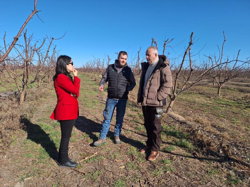 El Gobierno de España destina 27 millones de euros para facilitar el acceso a la financiación a jóvenes agricultores El Gobierno de España destina 27 millones de euros para facilitar el acceso a la financiación a jóvenes agricultores