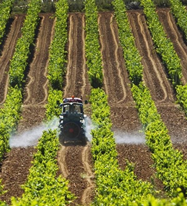 Más de 150 agricultores de Cantabria recibirán ayudas para compensar la subida del precio de los fertilizantes