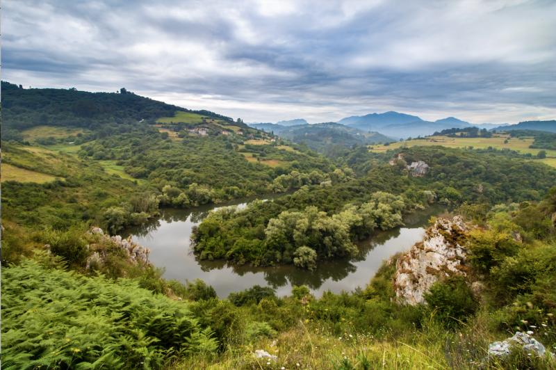 La Confederación Hidrográfica del Cantábrico activa una línea de ayudas para el desarrollo de proyectos de voluntariado en los ríos 