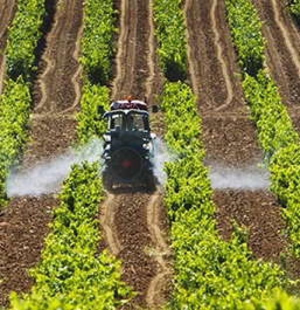 Más de 150 agricultores de Cantabria reciben hoy 94.000 euros para compensar la subida del precio de los fertilizantes
