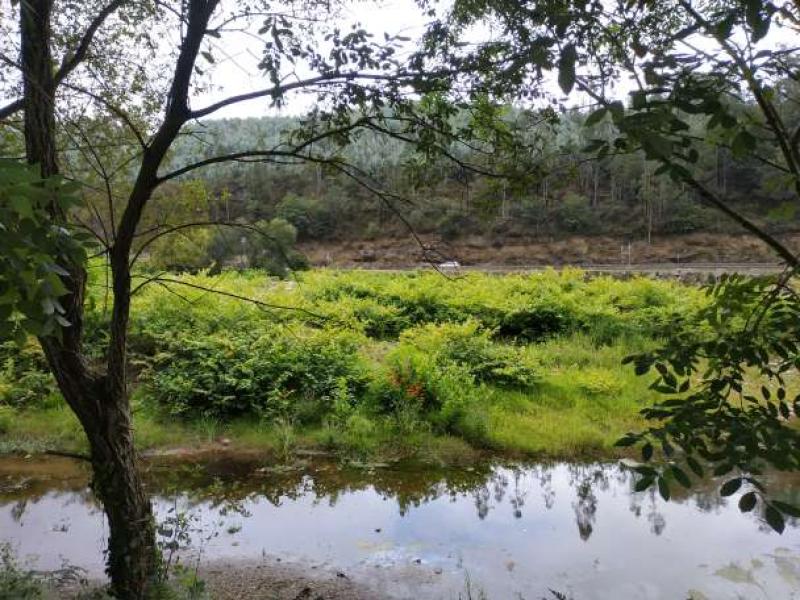 El MITECO adjudica 5 millones para las obras de la recuperación del río Saja 