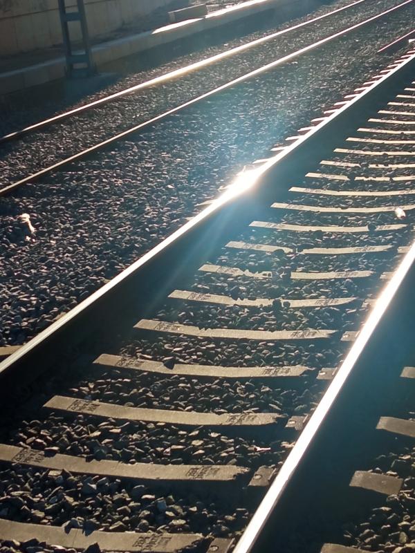 Transportes impulsa el tráfico de trenes de mercancías de hasta 750m en las líneas Barcelona-Madrid, Palencia-Cantabria y en Andalucía con contratos por 64 millones 