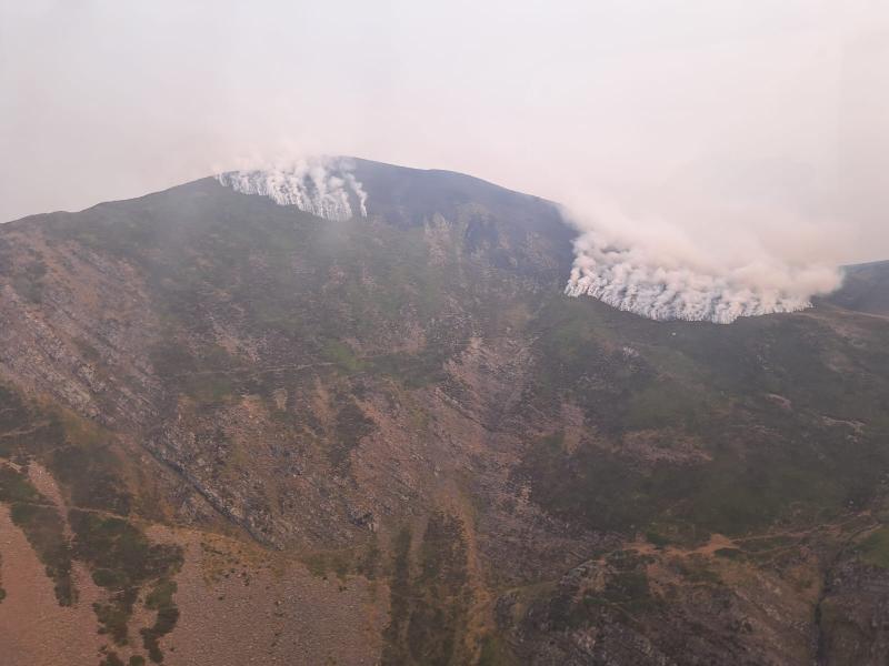 El Gobierno habilita la vía para que los damnificados por los 114 incendios forestales registrados durante los últimos dos meses soliciten ayudas y subvenciones El Gobierno habilita la vía para que los damnificados por los 114 incendios forestales registrados durante los últimos dos meses soliciten ayudas y subvenciones