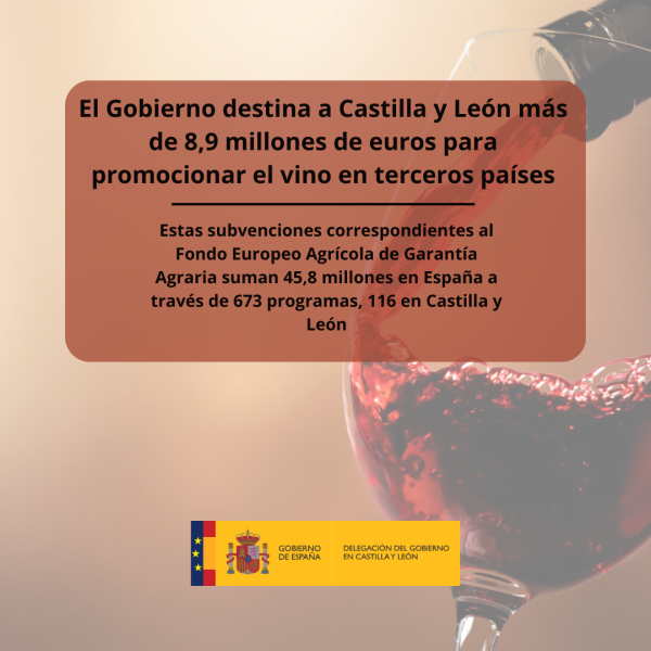 El Gobierno destina a Castilla y León más de 8,9 millones de euros para promocionar el vino en  terceros países