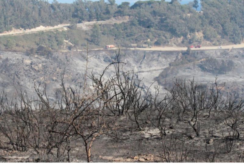 El Gobierno declara obras de emergencia para reparar los daños ocasionados por los incendios forestales en los embalses del Renegado y del Infierno (Ceuta)