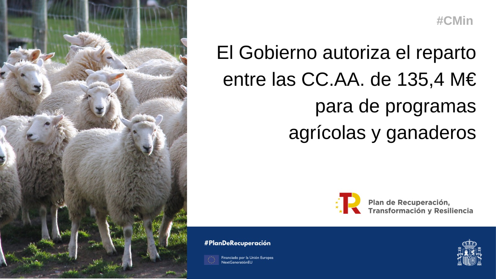 El Gobierno destina más de 5,7 millones de euros a la Comunitat Valenciana para programas agrícolas y ganaderos