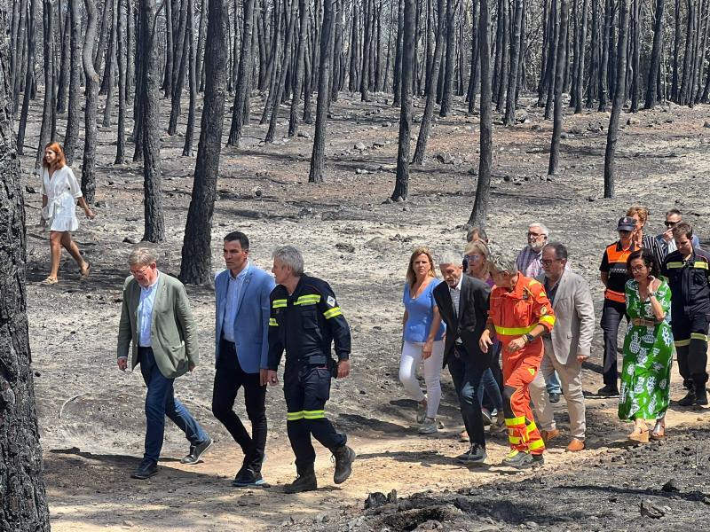 Convocadas las ayudas para los municipios afectados por los incendios forestales de junio, julio y agosto de 2022