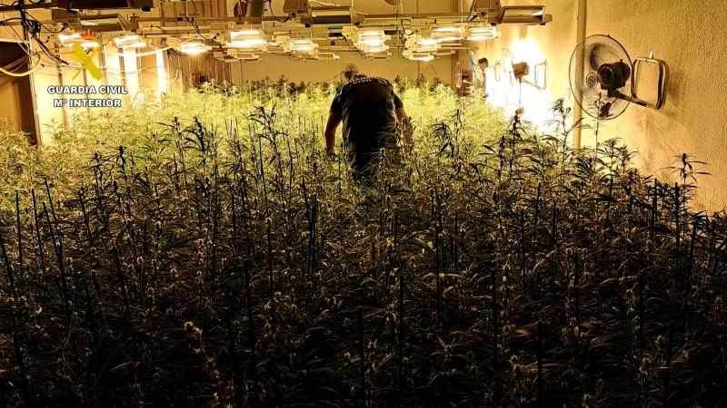 La Guardia Civil desmantela cuatro laboratorios de marihuana y detiene a cuatro personas en las localidades de Castellón y Sant Joan de Moró
