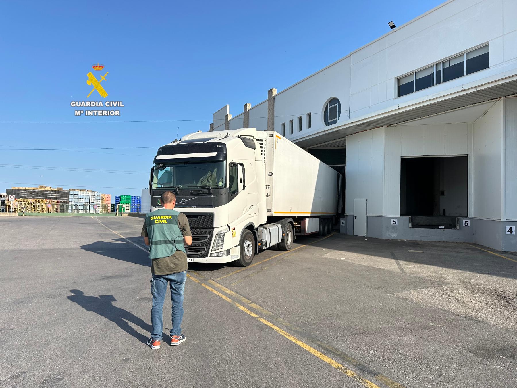 La Guardia Civil desarticula un grupo criminal dedicado a estafas en la compra venta de frutas y hortalizas en Nules