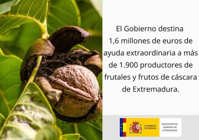 El Gobierno destina 1,6 millones de euros de ayuda  extraordinaria a más de 1.900 productores de  frutales y frutos de cáscara de Extremadura
