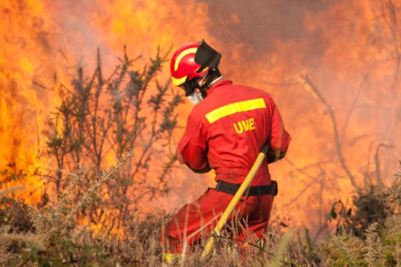 El Gobierno concede ayudas a ocho concellos de Galicia para reparar infraestructuras municipales dañadas por los incendios forestales registrados en verano de 2022 El Gobierno concede ayudas a ocho concellos de Galicia para reparar infraestructuras municipales dañadas por los incendios forestales registrados en verano de 2022