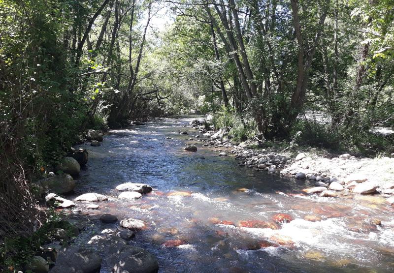 Se adjudican obras de mejora ambiental en los ríos Iregua, Najerilla, Tirón, Leza y sus afluentes (La Rioja)