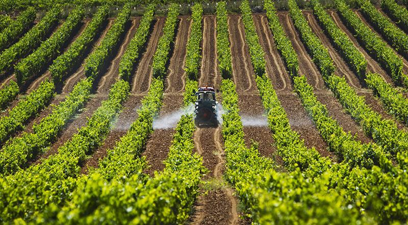 Más de 2.700 agricultores de La Rioja reciben hoy 2,4 millones de euros para compensar la subida del precio de los fertilizantes