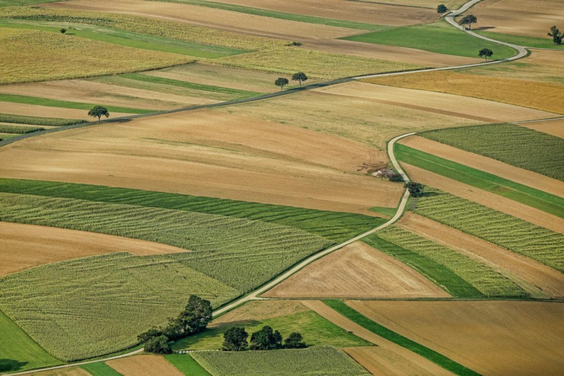 El Ministerio de Agricultura, Pesca y Alimentación destina 72.000 euros a 48 explotaciones agrarias de titularidad compartida El Ministerio de Agricultura, Pesca y Alimentación destina 72.000 euros a 48 explotaciones agrarias de titularidad compartida