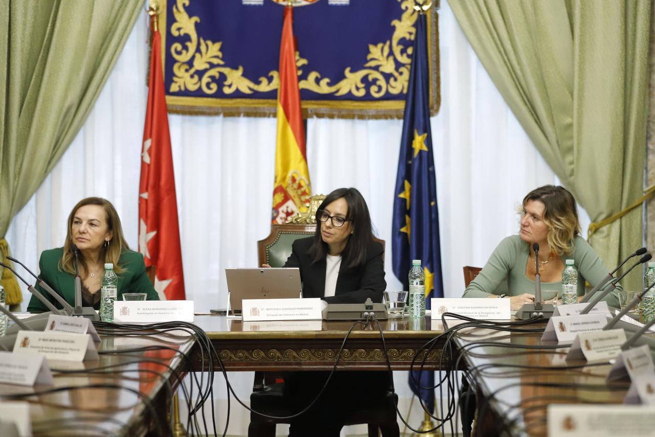 Mercedes González preside la segunda reunión de la Comisión de Asistencia a la delegada del Gobierno para profundizar en la gestión coordinada de los servicios estatales en Madrid
