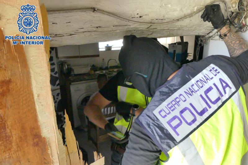 La Policía Nacional desmantela una cosecha ilegal de 730 plantas de marihuana dentro de una casa en Valdegovía (Álava)