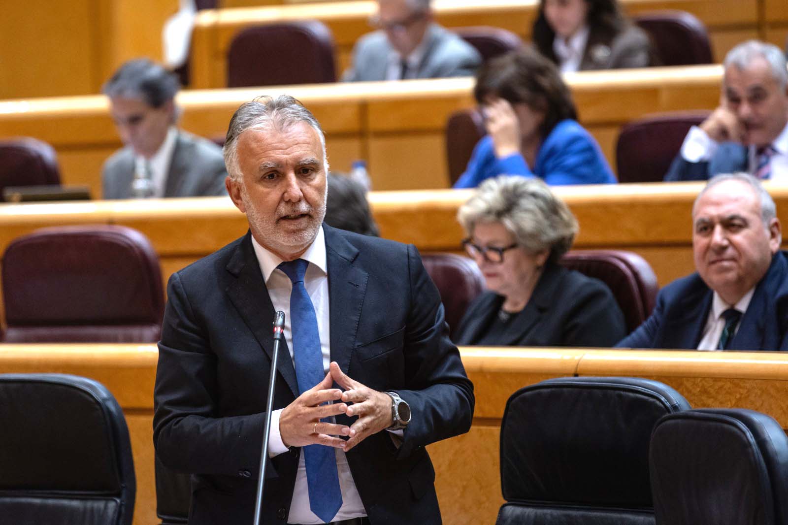 Ángel Víctor Torres interviene en la sesión de control al Gobierno en el Senado